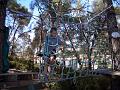 2004-08 Acrobranches 026